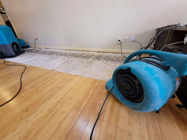 Professional Flood Damage Cleanup technician working in Yelm, WA